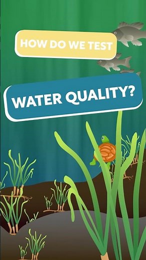 How Do We Test Water Quality? #environmentaleducation#steam #education