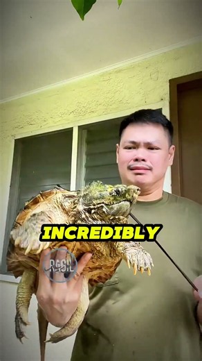 There's Only ONE Safe Way to Hold This Turtle! 😱🐢
