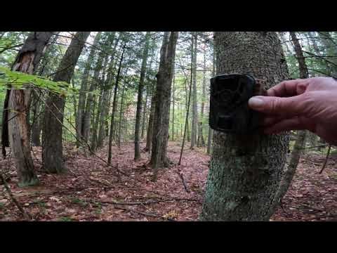 Punvoe 36 mp trail camera.