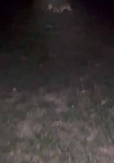 Rodney Davis on Reels