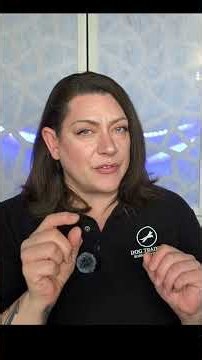 How to introduce your dog to a new dog