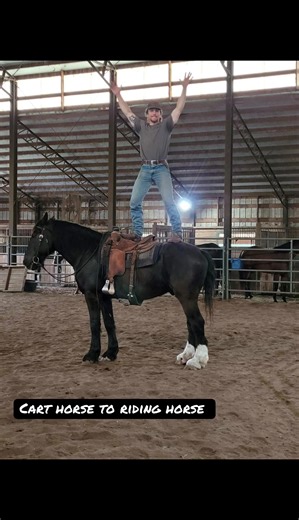 There are few horses that I don’t look big on. And fewer yet that make me look small. This behemoth was one of those horses. In 2022 I got the opportunity to retrain this massive cart horse into a safe riding horse, after a bad experience with cart training. After he learned to trust me, he was quick to the saddle. He definitely enjoyed being a riding horse, and was one of the most willing horses. Moving so well, he would’ve made a halfway decent dressage horse. #drafthorse #horsemanship #circle