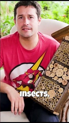 Make A Bug Hotel
