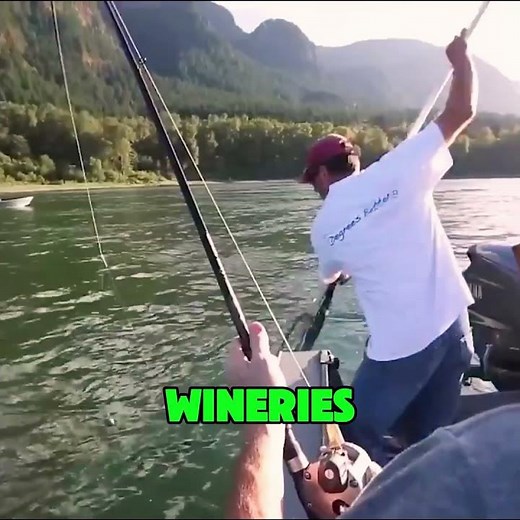 Hood River Oregon — Adventure and Wine Country Vie