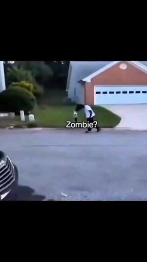 Explorando el Mundo de los Zombis: Videos y Memes