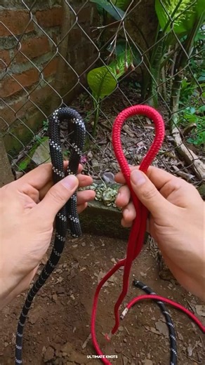 Tying ropes of different sizes together! | Ultimate Knots #knot #lifehacks (▶264)