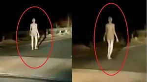 Alien sighted in Jharkhands Hazaribagh? Check truth behind viral video