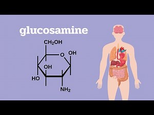 What Is Glucosamine And Why You Need It? Functions, Recommendations, Side Effects, Why it Works