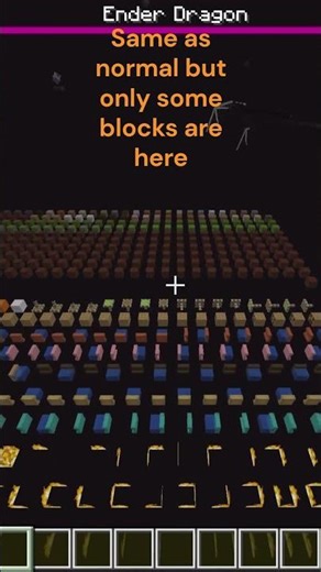 End In Minecraft Debug Mode