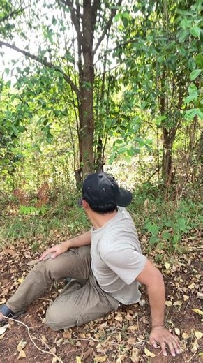 Survival Skills: Useful And Clever in Forest. #camping #forest