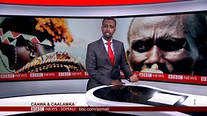 89K views · 1.1K reactions | AFKAAGA HOOYO;Luuqado badan ayaa laga baqayaa inay dabar go'ayaan oo ay ka mid tahay luuqad yar oo Kenya ka jirta,maxaa xala? | BBC News Somali | Facebook