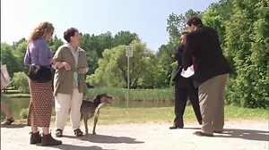 Spot (2001.See Spot Run)