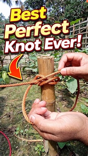 Best Perfect Knot Ever! 🪢 Learn in Seconds #shorts