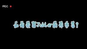 如何使用Jubler制作字幕