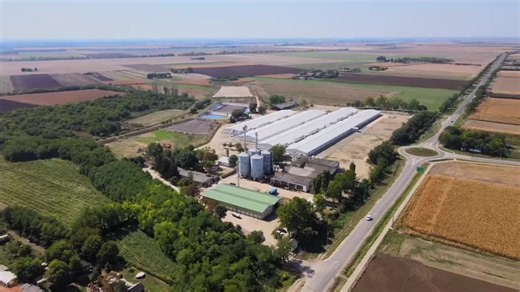 The Most Professional Pig Farm in China Design Modern Pen  Equipment Pig Cage House Solutions for Piggery