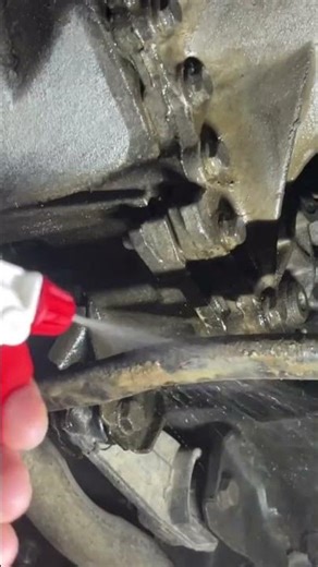 Engine Degreaser: Powerful Cleaning Across the Car #blinker #blinkershorts #tutorial
