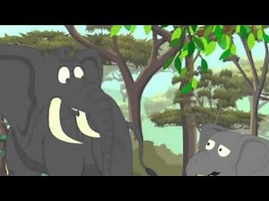 2 Why is a trunk useful to an elephant