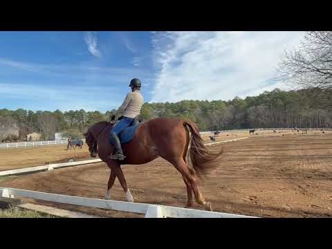 Third Level Test 1 - Denzel and Sarah Merritt