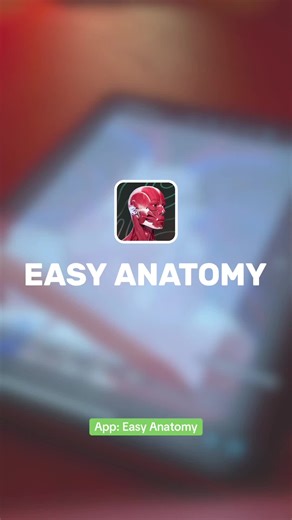 Easy Anatomy App: A 3D Approach to Human Anatomy