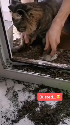 Cleaning Up the Mess: A Hilarious Challenge