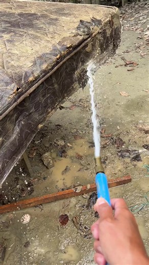 Cleaning Up After the Flood: Tips and Tricks