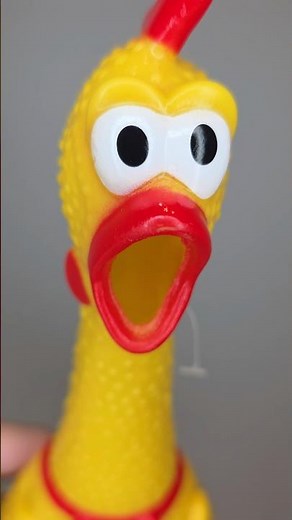 Screaming Yellow Rubber Chicken - Funny Sound