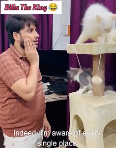 Billu The King 😂 Funny Videos 😂🤣 #viralcat #instagram #catlover #viralcats #funnydubbing #comedyvideos #billu #billucomedy #catsofinstagram #catfamily #todaybestphoto #comedy #funnycat #memes #farmanimals #freepets #missungpets #livestock #lostpet #wildlifesighting #dogfriendly #petfeiendly #dogs #zoo | BA BU