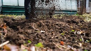 Digging Spring Soil With Spading fork. Close up of digging spring soil with shovel preparing it for new sowing season.Hard working in a garden
