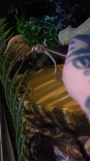 Pam strikes like a pro! 🎯🐍