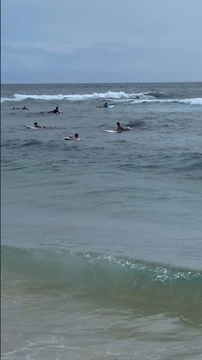 Surf School getting good waves