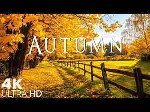 4K Cozy Autumn Scenes & Beautiful Relaxing Music 🍁 Soft Autumn Sounds for Relaxation & Meditation
