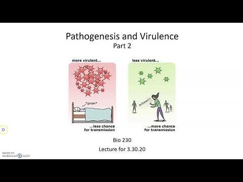 Pathogenesis and Virulence: Virulence Factors