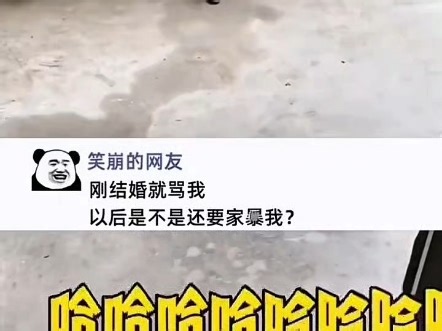 ⚡搞笑网友神评#2026年度最佳段子 #搞笑视频创作 #笑料百出 #欢乐无限⚡