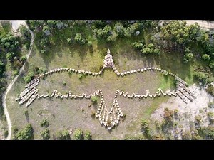 Bunjil Geoglyph, created as a tribute to a mystical creature