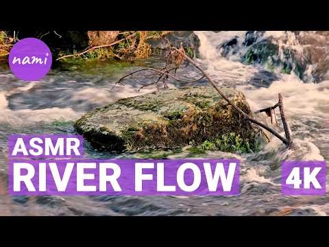 🌊 ASMR River Flow 4K | Real Water Sounds for Sleep & Deep Relaxation