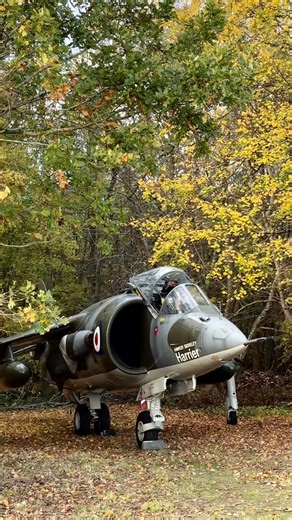 The evolution of the Harrier at the brilliant COAP RAF Wittering Vigo Wood event #Harrier #jumpjet #kestrel #coap #rafwittering | Turn 'n' Burn