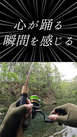【北海道釣り】ドラグが鳴く快感！伝えたい！釣りの楽しさ！2026.5.16#shorts #short #shortvideo #shortsfeed #fishing