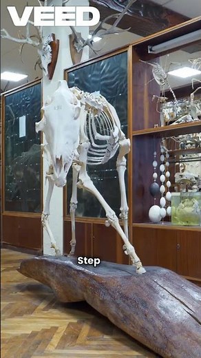 Dissertation Introduction Help: How to Start Strong and Impress Your Examiner