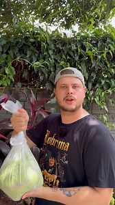 O PERNIL QUE VAI RENDER ELOGIO ATÉ DO TIO ÁGUA DE BATATA A marinada foi feita pra 3kg de pernil suíno! Eu usei: 250ml de suco de laranja 250ml de vinagre de vinho branco 250ml de óleo 100ml de cachaça 2 cebolas 1 pimentão verde 1 pimenta dedo de moça com semente 15 dentes de alho 1 maço de salsinha 3 colheres de sopa de sal #pernil #receitadenatal #receitasfaceis | Na Cozinha Com O Ferrari