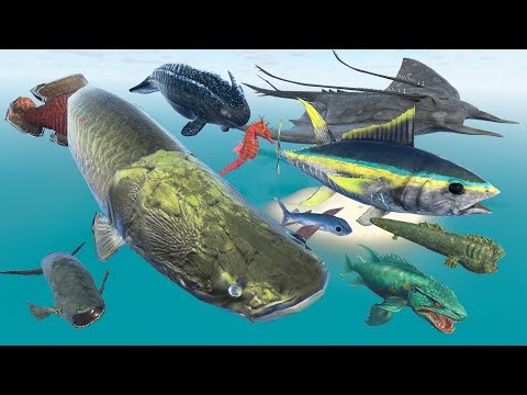 Aircraft Arapaima Vs Terrible Dog-Fish Vs 3D REal Fish, Monster Fish Size Comparison