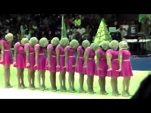 Rust College Alpha Kappa Alpha Probate SPR2K14