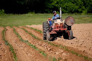 Lonely harvest: Farmers feel unappreciated and isolated in modern society