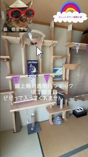 【キャットタワー】DIY増築の巻 キャットタワー？キャットウォーク？を増築しました #くろねこ #ネコ #難聴猫 # 保護猫 #猫好きさんと繋がりたい #黒猫 #悟空 #ねこちゃん #悟天#キジトラ