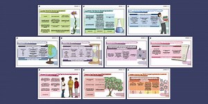 How to Answer the Exam Questions and Techniques