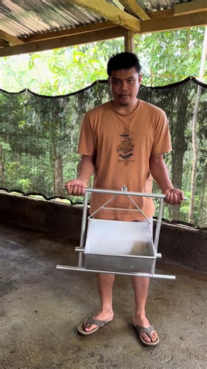 Top Pig Feeder Options for Efficient Swine Farming