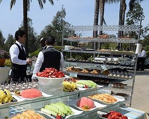 Shabbos Goy: Solution or Illusion?