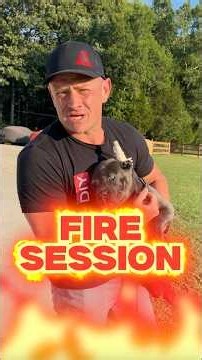 You ALWAYS Have Time to Train!