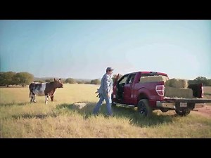 Be Safe. Drive Smart. Commercial