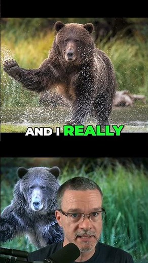 How to shoot a grizzly bear without killing it.