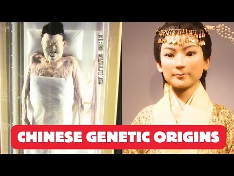 Scientists Reveal Surprising Chinese Genetic Origins in Groundbreaking Study